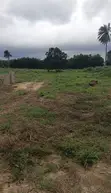 Filin Zama da Kasuwanci a Mereje, Warri - 1