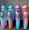 3-in-1 Water Bottle for Smoothies, Water & Juice - 2