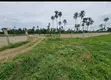 Oak Haven Warri: Filin Zama da Kasuwanci, Egborode - 2