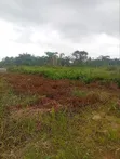 640sqm Mixed-use Land for Sale in Ijagemo, Lagos - 2