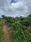 Filin Zama Don Siyarwa - Grandview Estate, Akure - 1