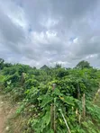 Filin Zama Don Siyarwa - Grandview Estate, Akure - 2
