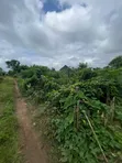 Filin Zama Don Siyarwa - Grandview Estate, Akure - 3