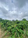 Filin Zama Don Siyarwa - Grandview Estate, Akure - 5