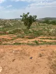 Filin Zama 250sqm a Guzape 2, Abuja - 4