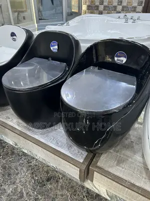 Luxury Lavida Water Closet - Black