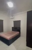 2 Bedroom Apartment don haya a Igbo-Efon, Lekki - 5