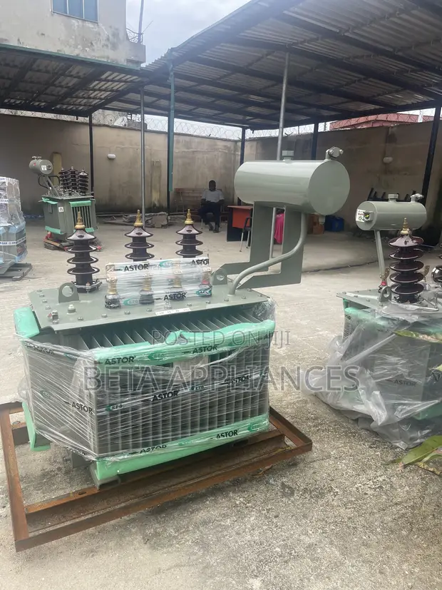 Astor 300 kVA Transformer - 1