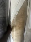 Hot Take Turkish Floor Carpets - 3