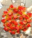 8ft Dropping Flowers - 12 Strands - 1