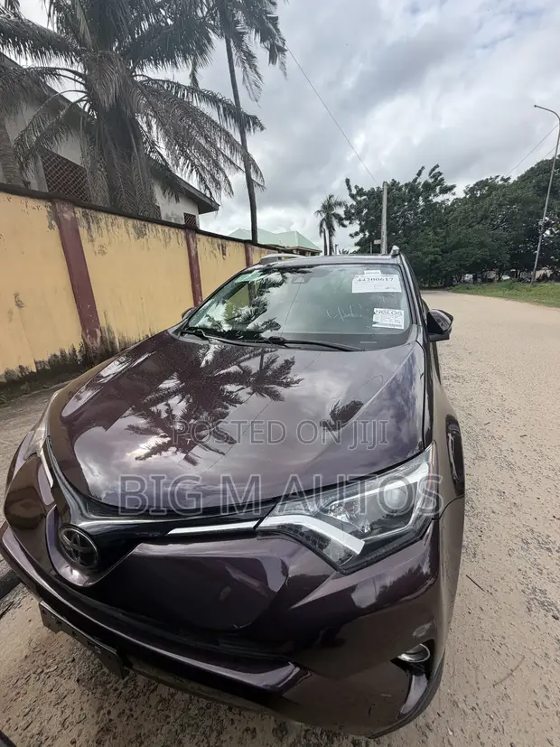 Toyota RAV4 2016 Brown - 1
