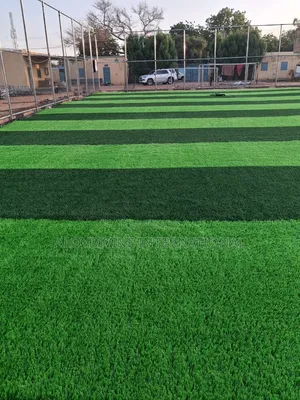 FIFA Standard Football Pitch Grass