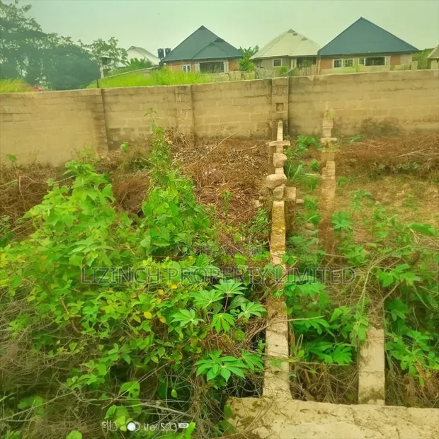 50ft x 100ft Land for Sale at Iyowa Oluku, Benin City - 1
