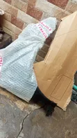 Brand New Fender for Toyota Hilux 2018-2024 - 2