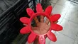 Rotex 100 Coupling Rubber - 2
