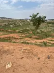 350sqm Residential Land for Sale in Guzape 2, Abuja - 3