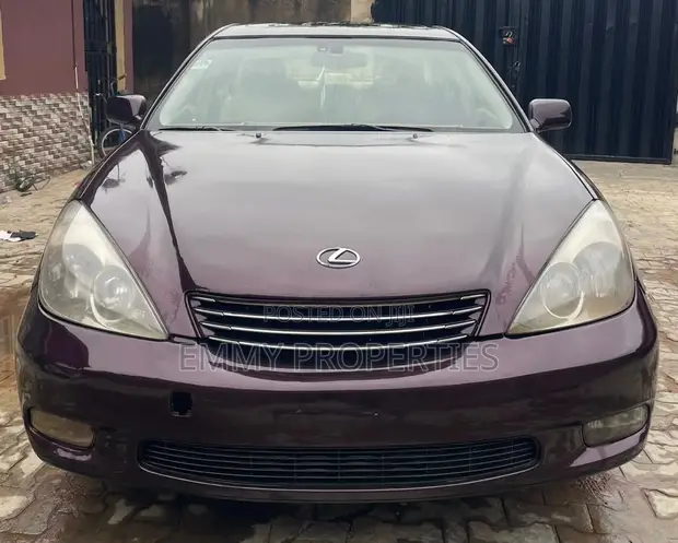 Lexus ES 300 2004 - 1