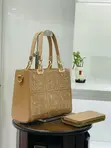 Loewe Multicolor Leather Handbag with Mini Purse - 2