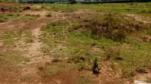 7571sqm Land for Public Institution in Wawa