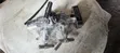 1" Double Block and Bleed Valve - 2