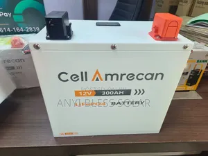 300Ah 12V Baturin Inverter na Lithium - SMS Brand