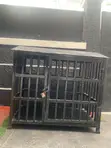 Black Metal Dog Cage - Brand New - 2
