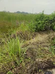 Filin Zama na Sayarwa, Jericho GRA, Ibadan - 1