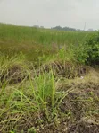 Filin Zama na Sayarwa, Jericho GRA, Ibadan - 2