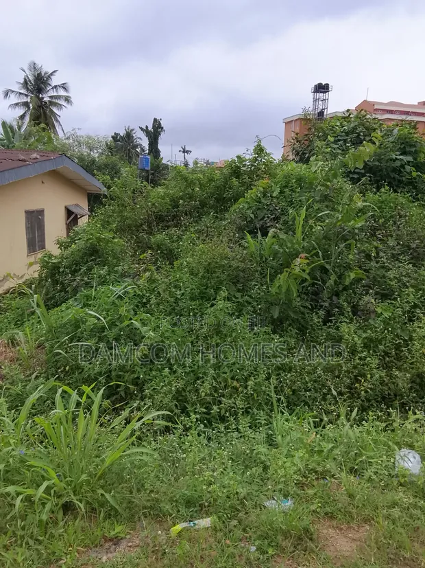 Land for Sale - Tanimowo Area, Apata, Ibadan - 1