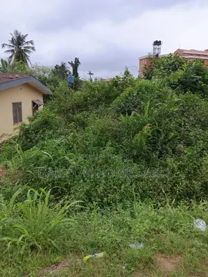 Land for Sale - Tanimowo Area, Apata, Ibadan