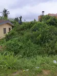 Land for Sale - Tanimowo Area, Apata, Ibadan - 1