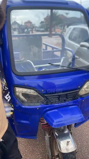 2024 Tricycle - Electric, Green