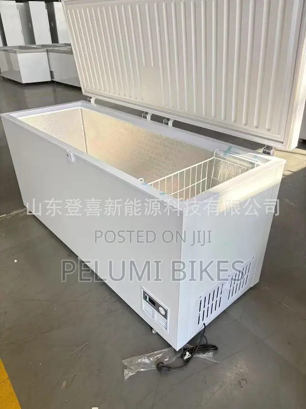 BYSIC 300 Solar DC Freezer/Refrigerator - 1
