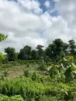 Distress Sale: 2 Prime Residential Plots in Durumi, Abuja - 1