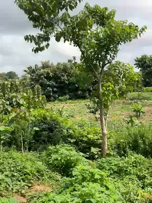 Sallamar Damuwa: Filaye 2 Masu Kyau na Zama a Durumi, Abuja