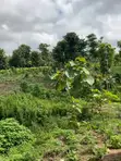 Distress Sale: 2 Prime Residential Plots in Durumi, Abuja - 3