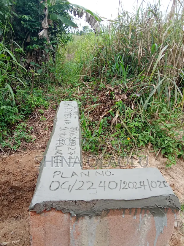 3 Plots of Land in Oloparun Village Near RCCG New Arena - 1