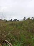 3 Plots of Land in Oloparun Village Near RCCG New Arena - 4