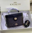 Coach Luxury Ladies Handbag - 1