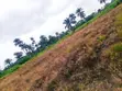 11 Acres Kasar Kasuwanci don Hayar - Hanyar Ibadan-Ijebu Ode - 2