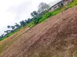 11 Acres Kasar Kasuwanci don Hayar - Hanyar Ibadan-Ijebu Ode - 4