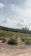 500sqm Estate Plot for 4 Bedroom Penthouse with C of O - 2
