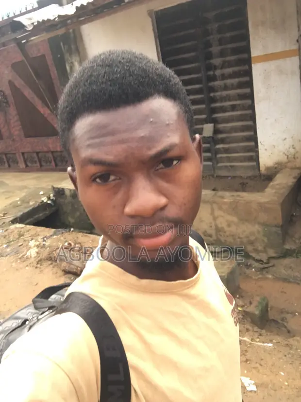 Ayomide Ogunnowo: Brand Ambassador, Usher, Zane Mai Zane CV - 1