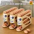 Automatic Rolling Egg Holder - 30 Egg Capacity - 5