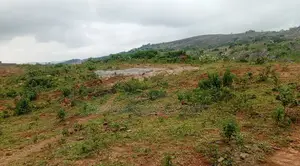 Filin Estate 450sqm na Gidan Penthouse mai dakuna 3 tare da R of O