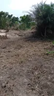 50 Plots na Kasa don Dogon Hayarwa a Basin Man Fetur, Abonnema - 2