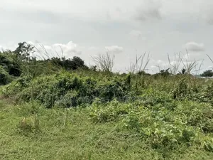 50 Plots na Kasa don Dogon Hayarwa a Basin Man Fetur, Abonnema