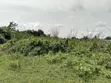 50 Plots na Kasa don Dogon Hayarwa a Basin Man Fetur, Abonnema - 3