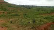 600sqm Estate Land for 5-Bedroom Duplex with R of O - 3