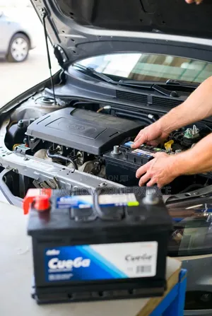 Brand New Vehicle Battery